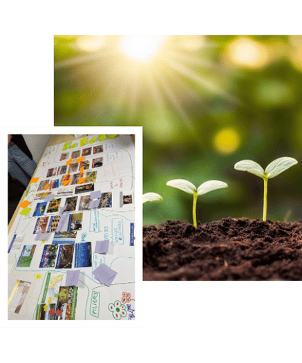 Atelier RSE Biodiversité